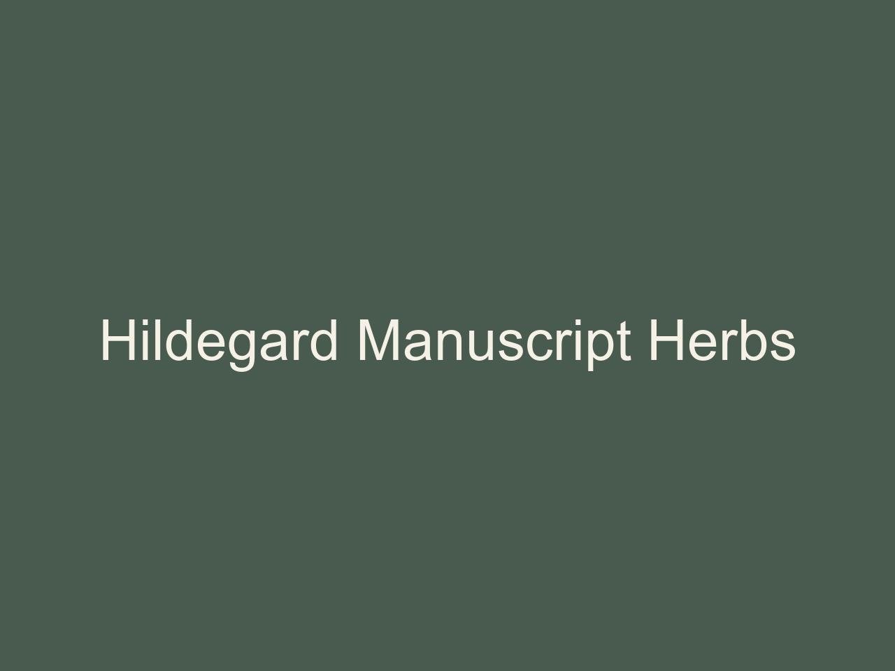 Hildegard
