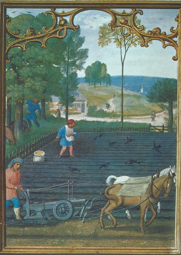 Manor